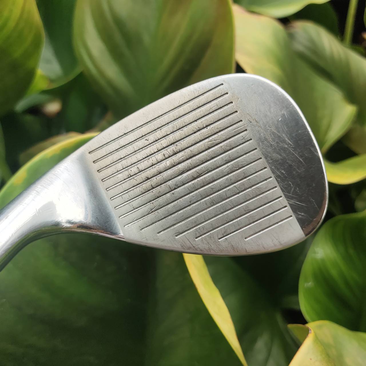 WEDGE CLEVELAND Cg12 องศา 60 ZIP GROOVE ร่องหน้าไม้สี่เหลี่ยมเหมือนกับซิป โหดมากสปินจัด