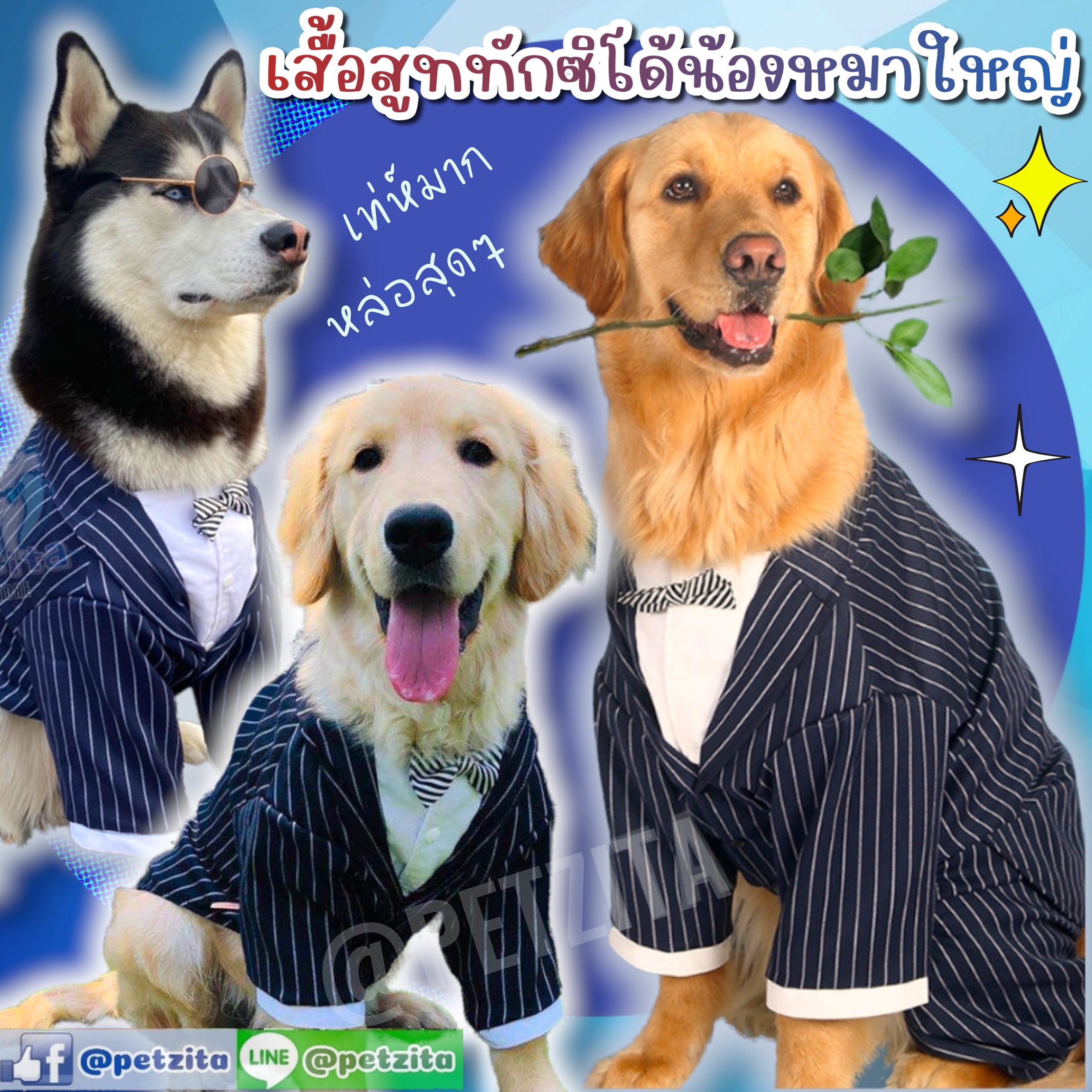🇹🇭สินค้าอยู่ไทยพร้อมส่ง🇹🇭🔥ถูกที่สุด💥 เสื้อสูททักซิโด้ สุนัขพันธุ์ใหญ่ สูทหมาใหญ่ เสื้อเชิ๊ต งานแบรนด์เกรดพรีเมี่ยมจ้า สำเนา