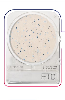 เพลทนับเชื้อสำเร็จรูป Compact Dry Enterococcus species (ETC) 40/pK