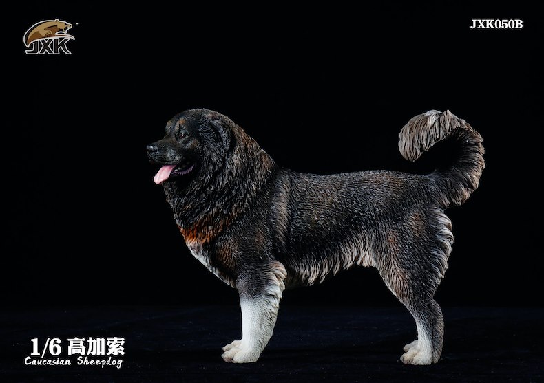 [สั่งจอง]JXK JXK050 1/6 : Caucasian Sheepdog