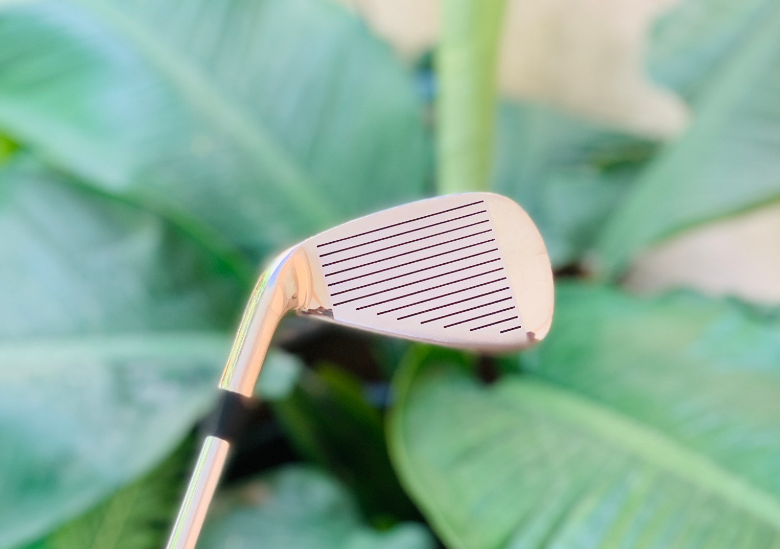 เหล็ก 4 T-ZOOM X5 FORGED (หัวทอง)