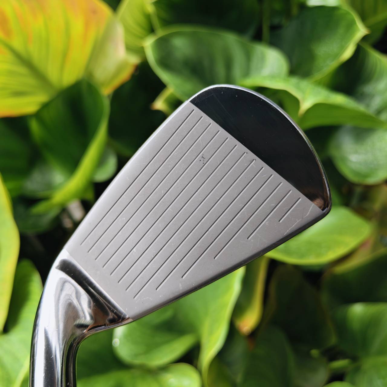 Iron 7 Maruman MAJESTY Toughest Maraging เหล็กหน้าเด้งที่สุด ระดับพรีเมียมสูงสุดของ MARUMAN