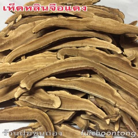เห็ดหลินจือ แดง อบแห้ง