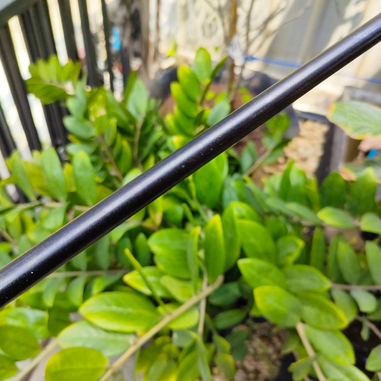 PUTTER BETTINARDI BB1 MILLED IN THE USA ความยาว 34 นิ้ว ตัวนี้หายากมาก สภาพสวยมาก สุดยอดแห่งความนิ่ง สุดยอดแห่งความนุ่ม และ เกาะไลน์ ไม้กอล์ฟพรีเมี่ยมมือสอง By NakaraLuxurious