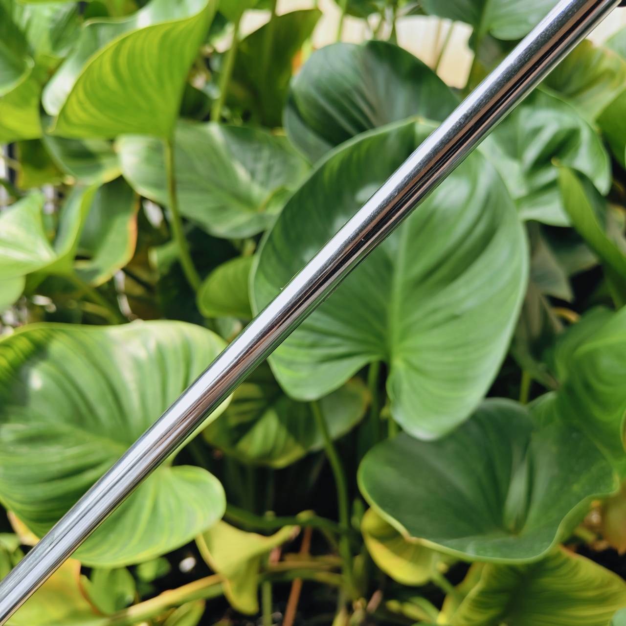 Scotty Cameron Super Select Newport Putter (33") พัตเตอร์ระดับทัวร์ที่โปรทั่วโลกเลือกใช้ 🇺🇸