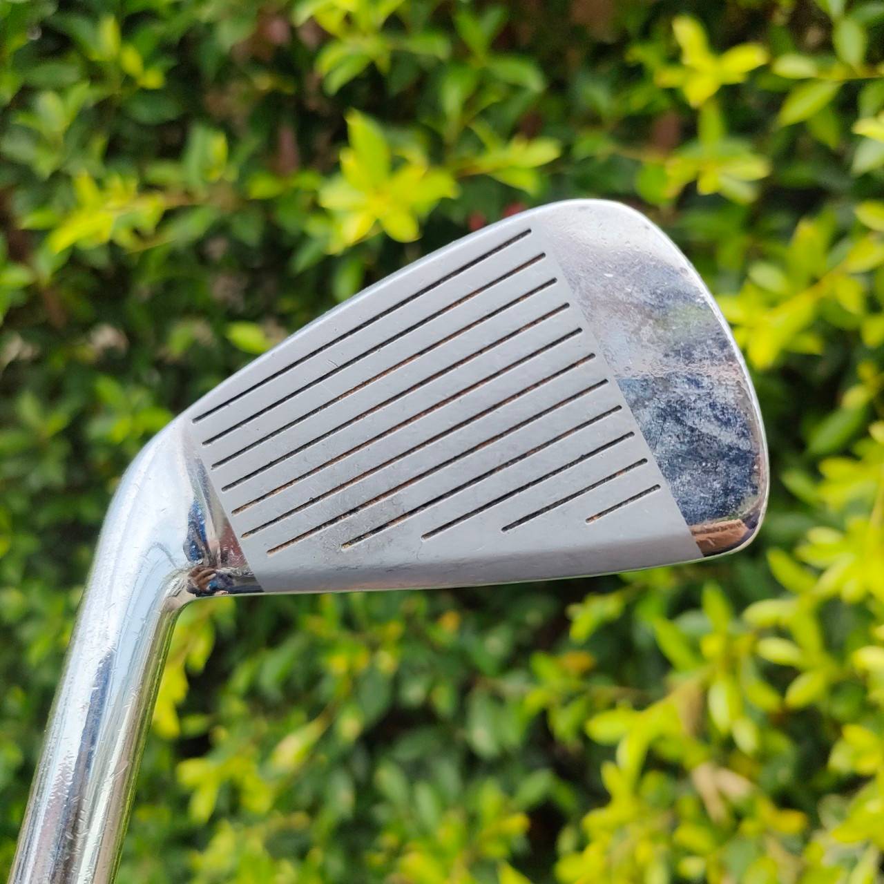เหล็ก3 HONMA CL-708 +2 ก้าน EXTRA 90 FLEX R-1 เหล็ก FORGED นุ่ม คุณภาพสูงจัด!!! ตีไกลกว่าปกติมากๆ ระยะ 200 สบายๆ