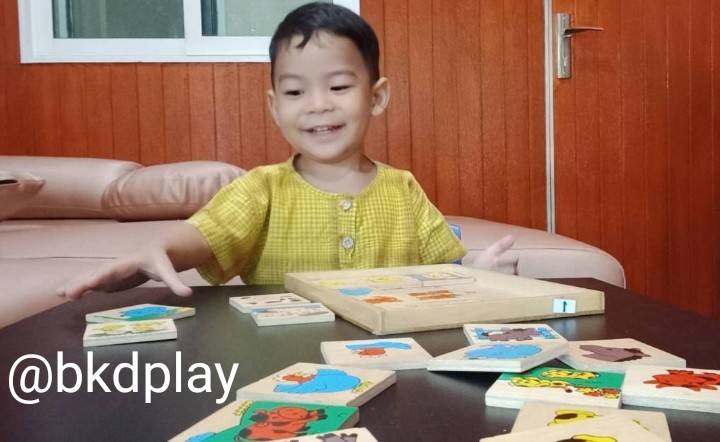 เกมจับคู่สัญลักษณ์แม่-ลูก ชุดสัตว์เลี้ยง , ของเล่นไม้, ของเล่นเสริมพัฒนาการ, ของเล่นเด็กอนุบาล, สื่อการสอนเด็กอนุบาล