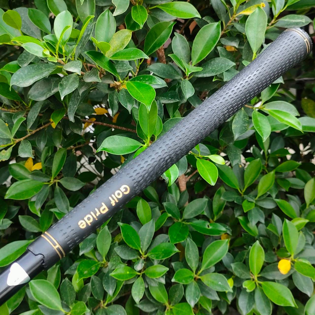 ชุดเหล็ก GULLIVER ALPHABIT มีเหล็ก 6-9 เเละ PW ก้าน B-TITAN ALPHABIT FLEX R