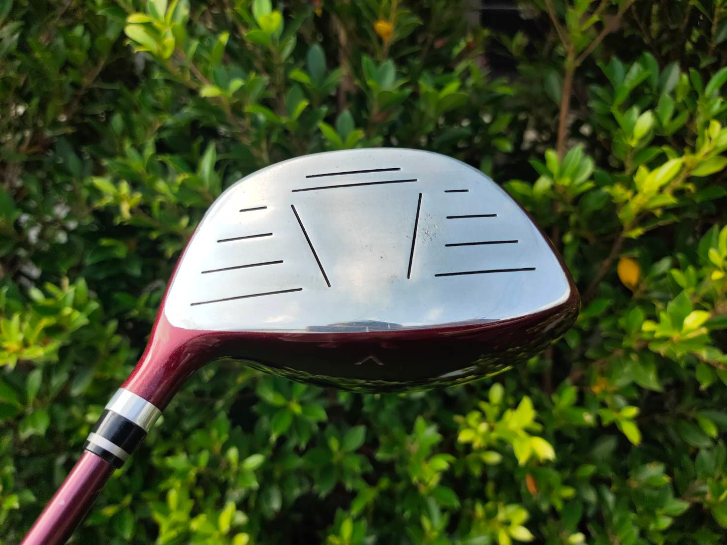 Driver GOSEN WINTEX LADY ไม้กอล์ฟสำหรับผู้หญิง