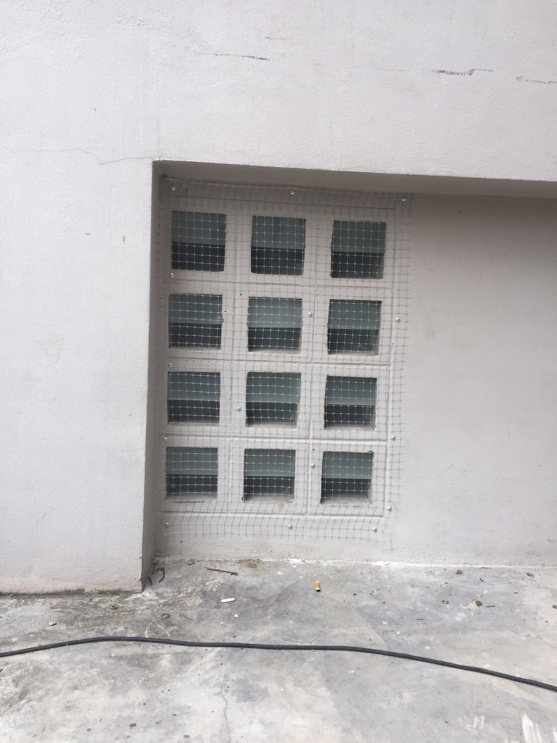 งานติดตาข่ายกันนก ตึกกายวิทยาทาน มหาวิทยาลัยมหิดล