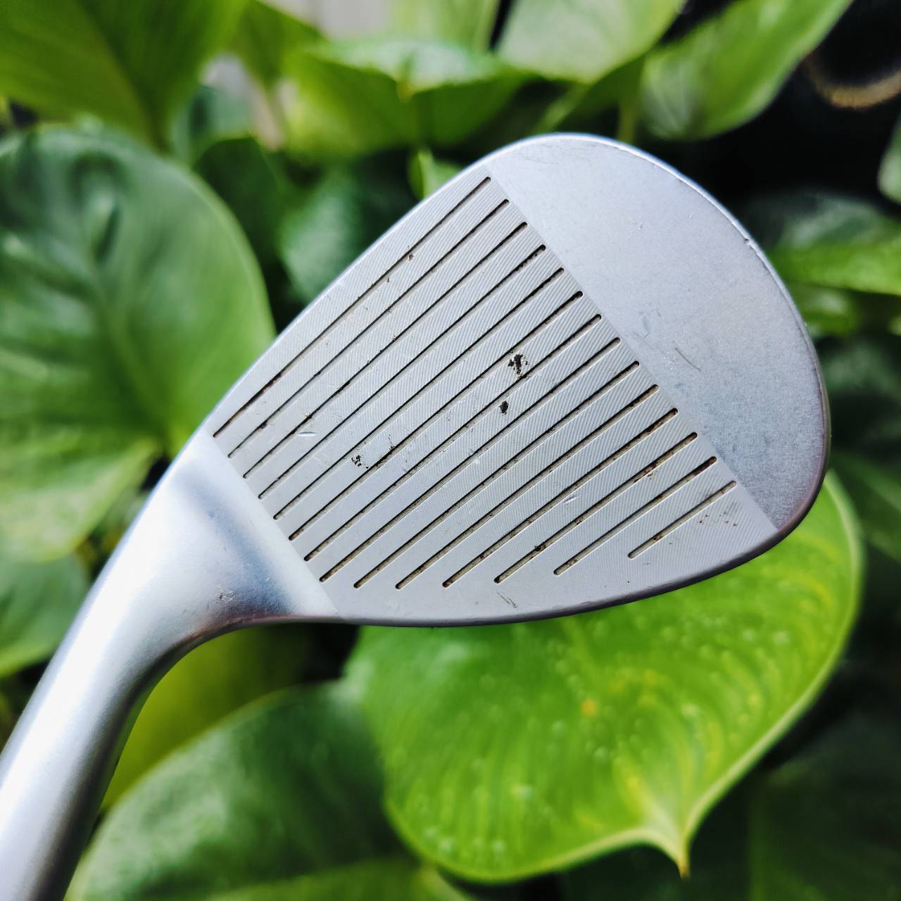 TOURSTAGE X-WEDGE องศา 52 BOUNCE 10 สำหรับท่านที่ชอบ WEDGE ญี่ปุ่น วัสดุ FORGED แถวหน้าของโลก ไม้กอล์ฟมือสอง ของแท้ By NakaraLuxurious