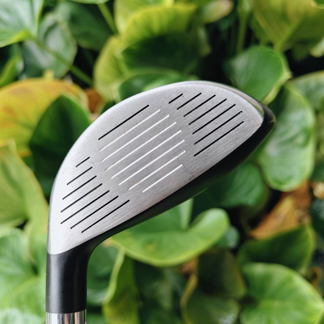 FAIRWAY WOOD NIKE SQ DYMO QUAD KEEL ของดีจากยุคที่ NIKE ทำหัวไม้ “แรงสุด – สวยสุด”