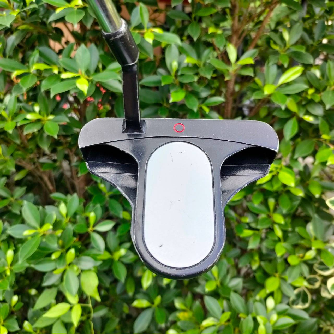 PUTTER DIAMOND SCOT TA-365 ความยาว 34 นิ้ว ก้าน DIAMOND SCOT พัตเตอร์แบบพิเศษ พัตต์ง่าย ชดเชยสูง พัตต์ตรงมากๆครับ เล็งง่ายมาก หน้าสัมผัสดีมากครับ