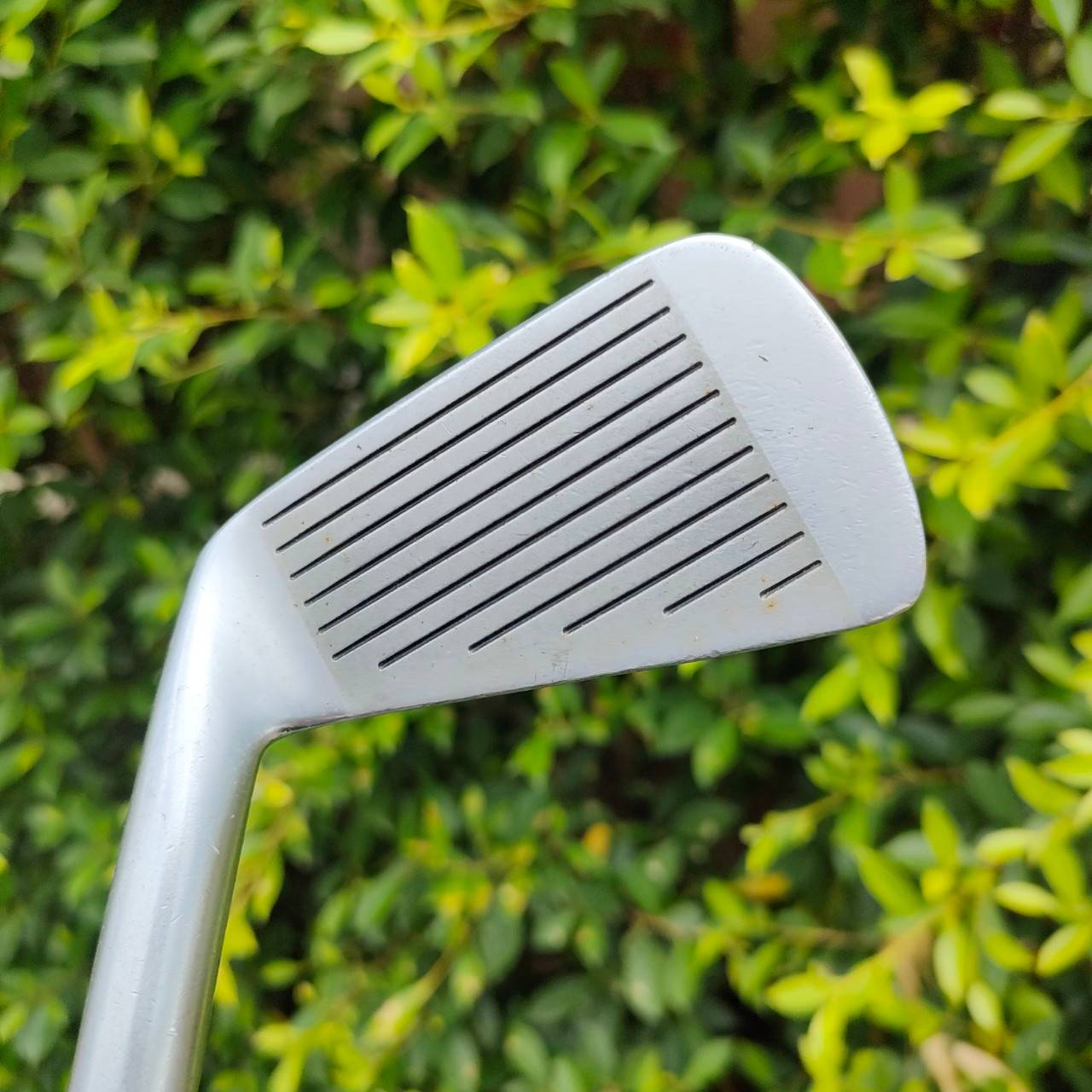 เหล็ก 3 MIZUNO PRO MS-702 ก้าน DYNAMIC GOLD FLEX R เหล็กคมๆมันส์ ควบคุมทิศทางได้ครับ MADE IN JAPAN