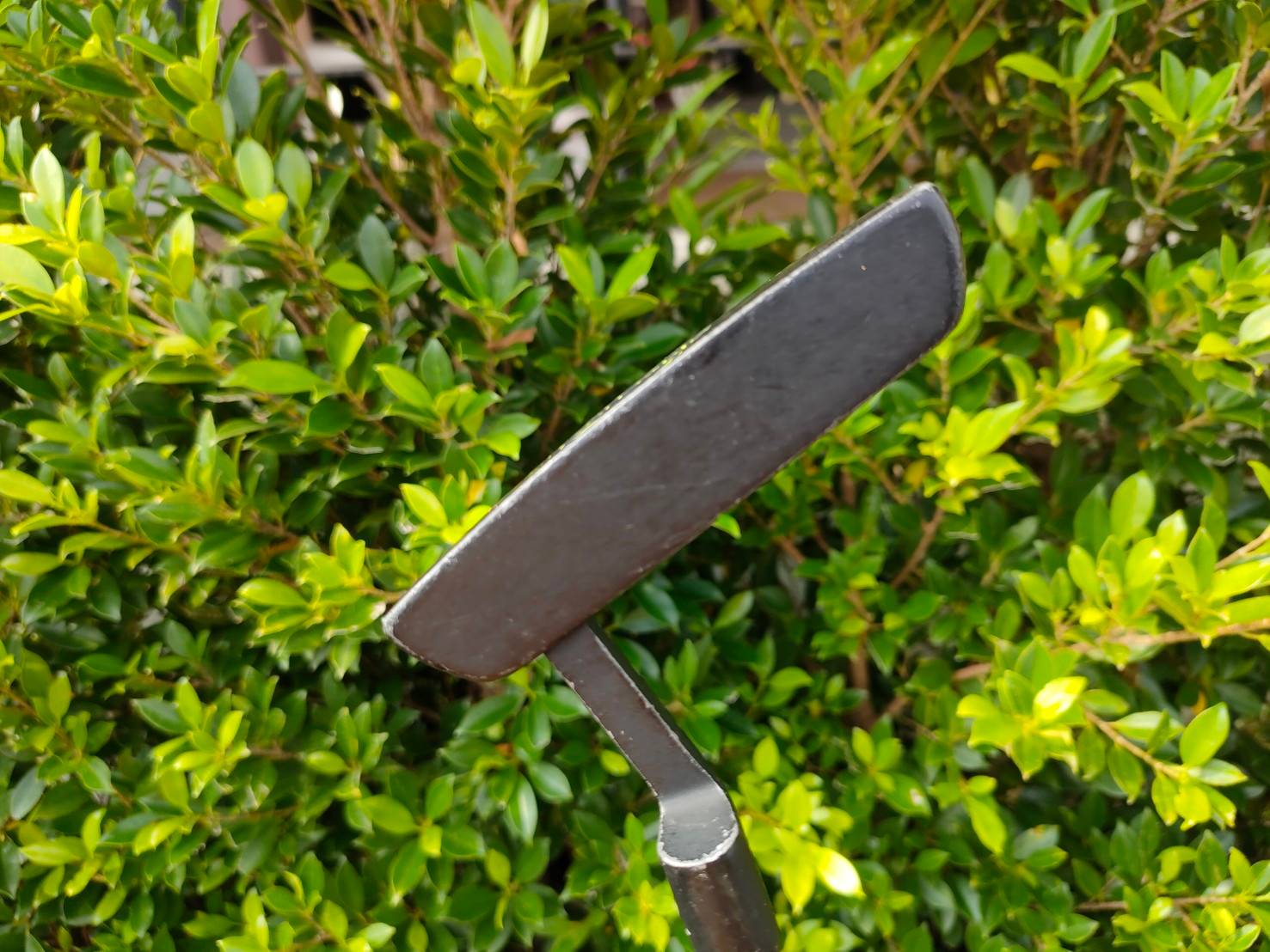 PUTTER SALAZENGER