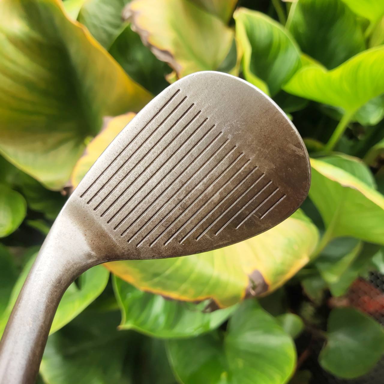WEDGE VOKEY DESIGN 260-04 รุ่น OIL CAN สนิม! ระดับเทพ ระดับตำนานของ BOB VOKEY