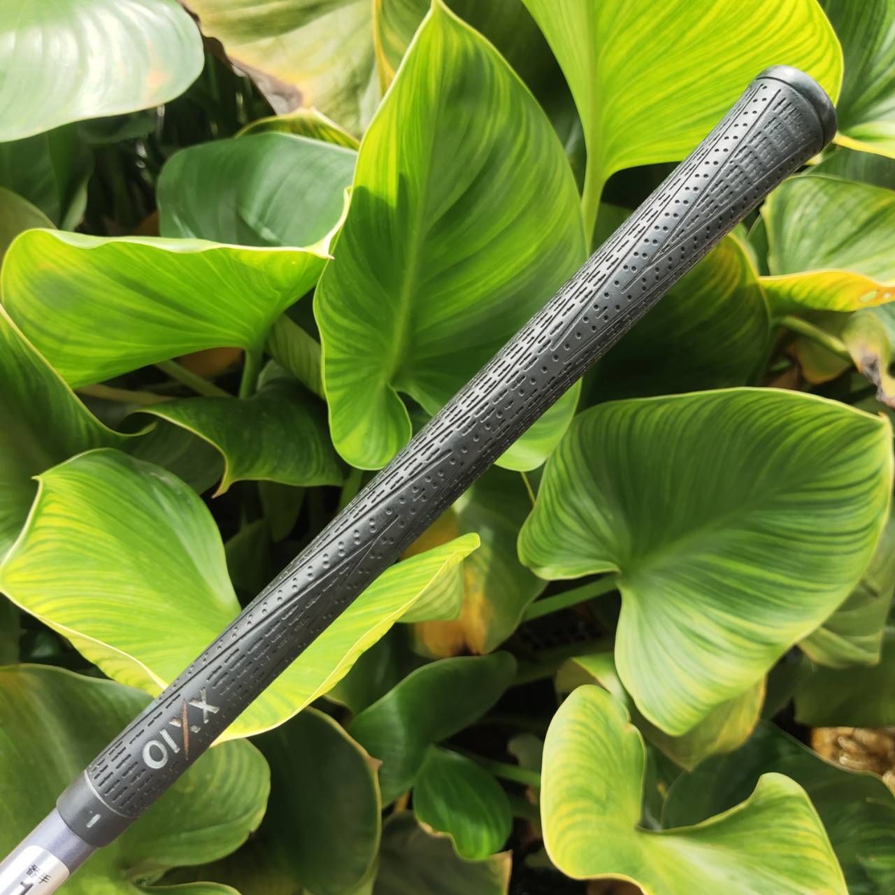 *ไม้กอล์ฟผู้หญิง* XXIO Impact Power Body พลังเต็มสวิงสำหรับนักกอล์ฟที่รักความง่ายและระยะไกล