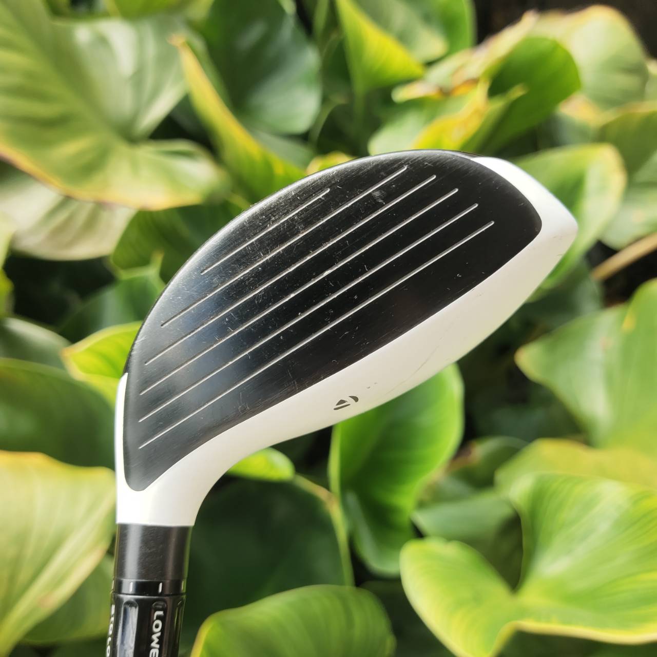FW5 Taylormade R11 เทคโนโลยี Adjustable Sole Plate (ASP) ปรับให้ดีที่สุดสำหรับวงสวิง