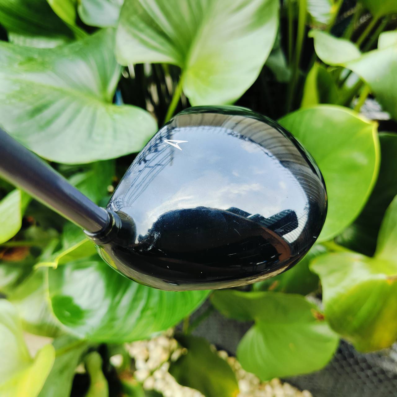 *** ไม้กอล์ฟผู้หญิง *** DRIVER XXIO IMPACT POWER BODY องศา 13 ก้าน XXIO MP300 FLEX L ปัจจุบัน XXIO เป็น Driver ที่ยอดนิยม ไม้กอล์ฟพรีเมี่ยมมือสอง ของแท้ By NakaraLuxurious