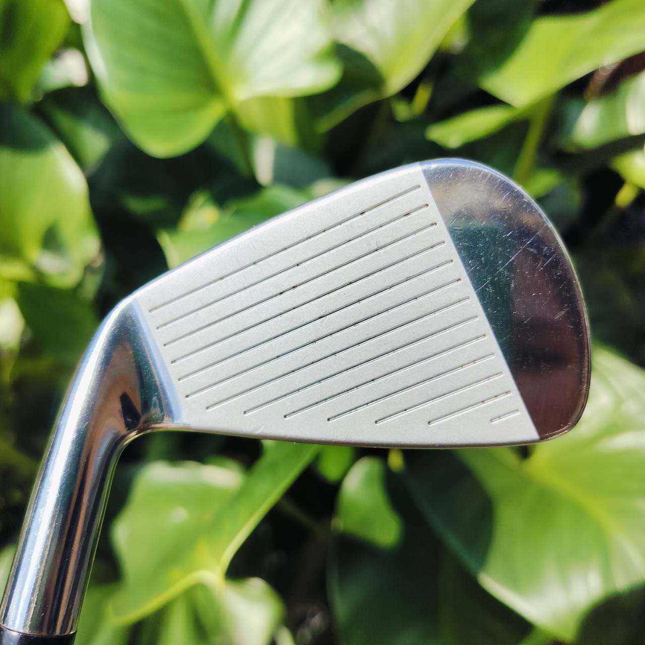 เหล็ก 3 KING COBRA FORGED SS ก้าน DYNAMIC GOLD S300 เนื้อเหล็ก FORGED นุ่มจัด พรีเมี่ยม ไม้กอล์ฟพรีเมี่ยมมือสอง ของแท้ By NakaraLuxurious