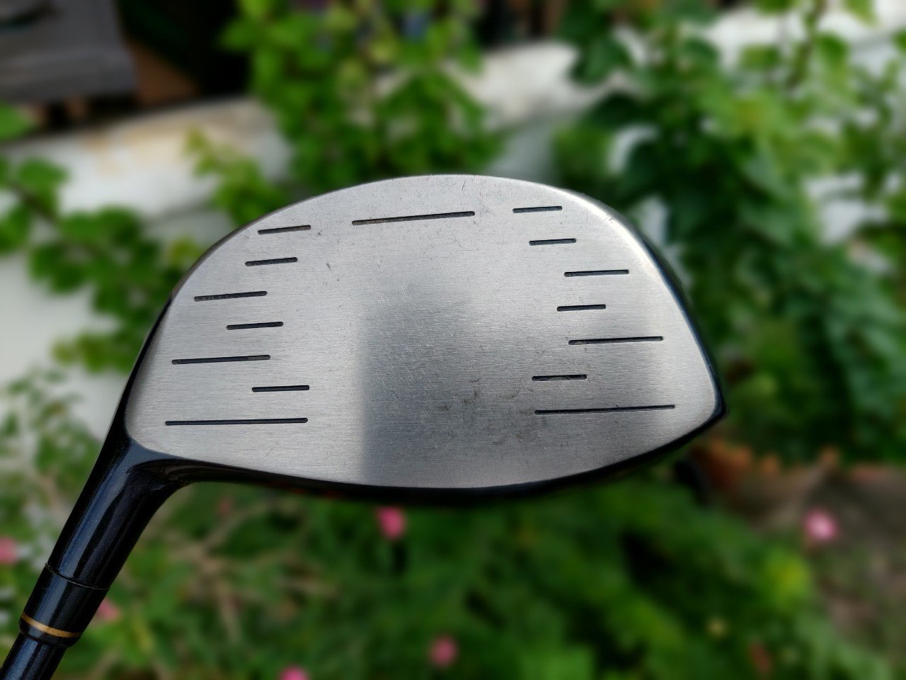 Driver MARUMAN TITUS V1