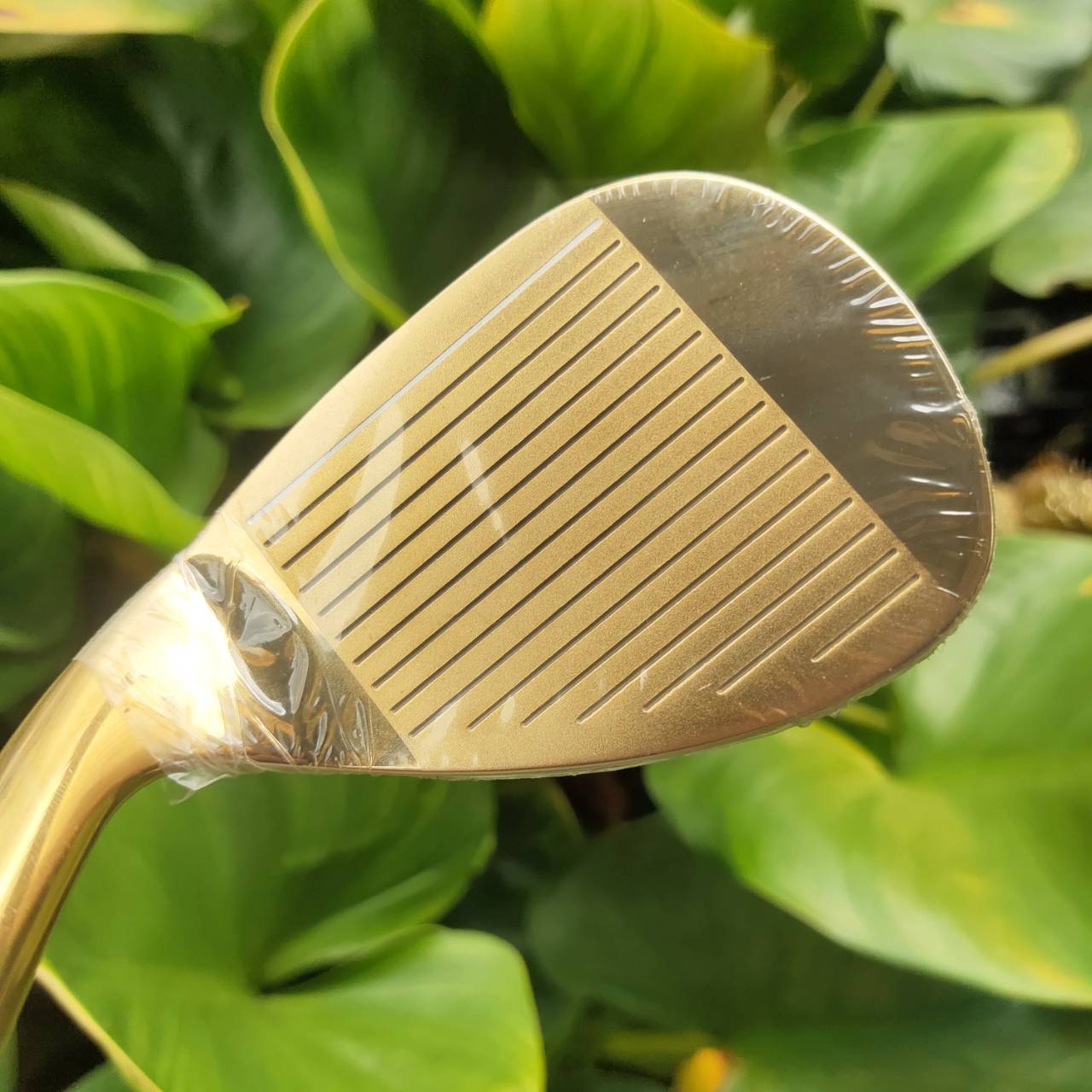 AW TEAM YOSHIMURA PX200 งานหรูหราสูงสุดจาก KOBE JAPAN งายละเอียด ปราณีต และแตกต่าง