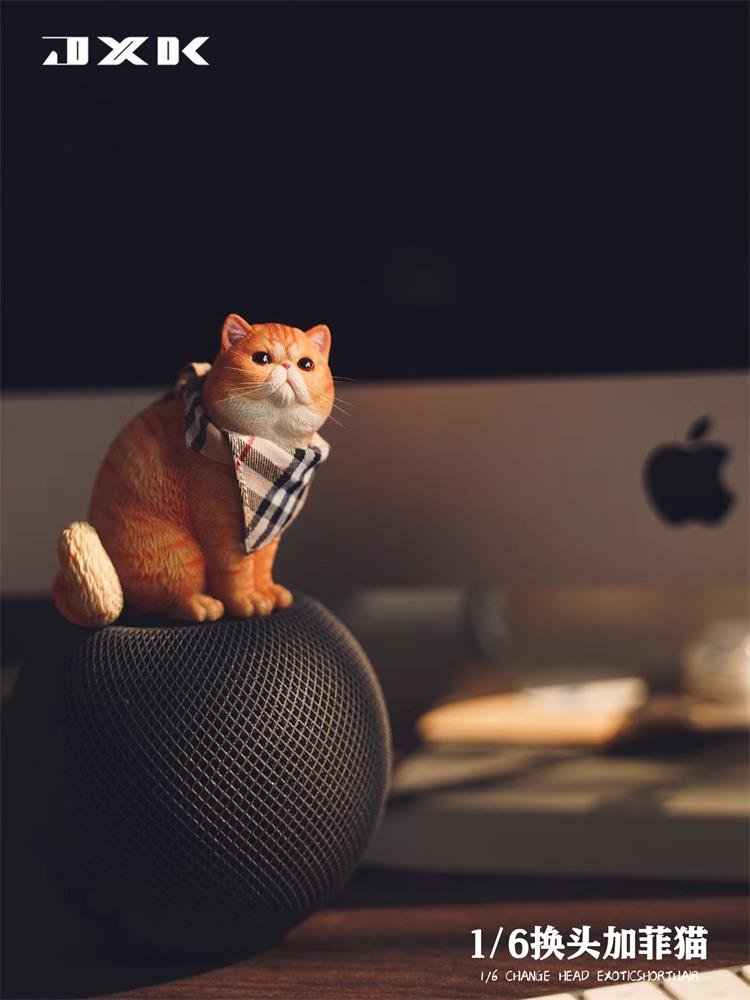 [สั่งจอง]JXK JXK113 1/6 : Change Head Exoticshorthair