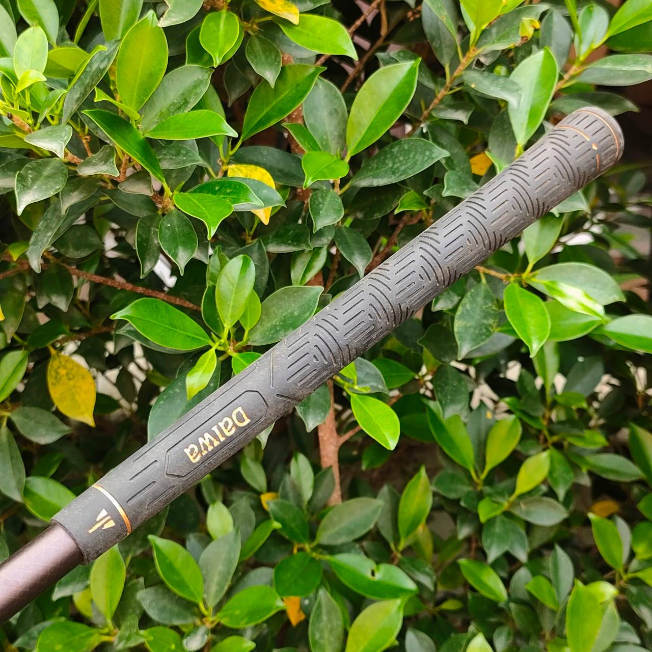 ** ไม้กอล์ฟสำหรับผู้หญิง ** ชุดเหล็ก DAIWA SPECTRON มีเหล็ก 5-9 เเละ PW SW ก้าน KEVLAR VX FLEX L