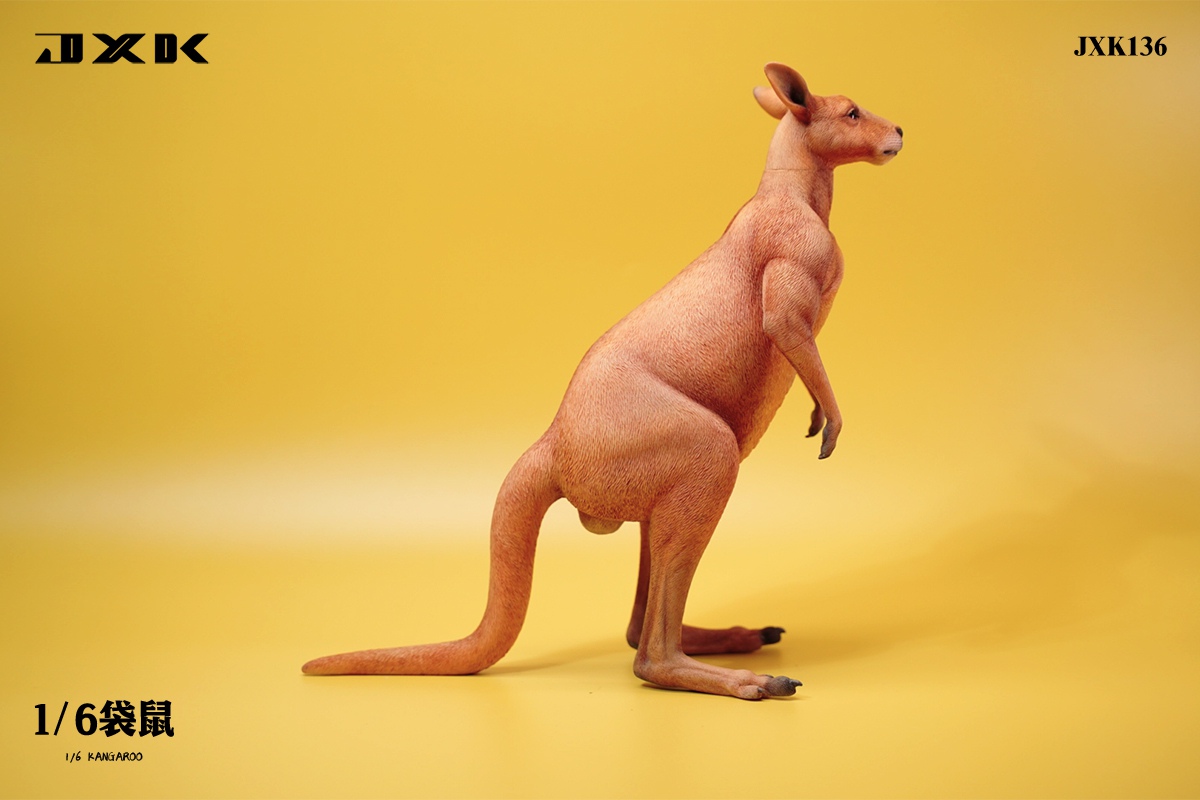 [สั่งจอง]JXK JXK136 1/6 : Kangaroo