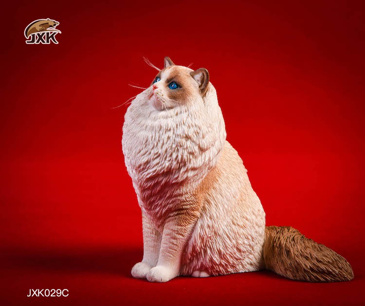 [สั่งจอง] JxK.Studio 1/6 Jxk029/ Jxk030 A/B/C/D -Ragdoll / British Shorthair Cat