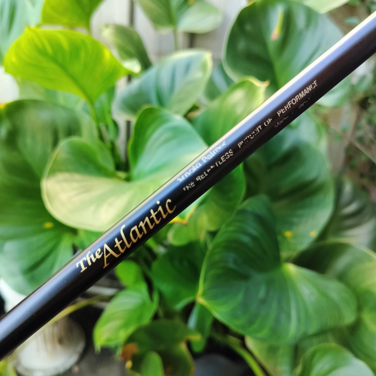 เหล็ก 2 อาร์โนลด์ พาล์มเมอร์ (Arnold Palmer) ออกแบบ SOLE และ BOUNCE ให้ตีผ่านพื้นได้ดีมากๆ ไม้กอล์ฟพรีเมี่ยมมือสอง ของแท้ By NakaraLuxurious