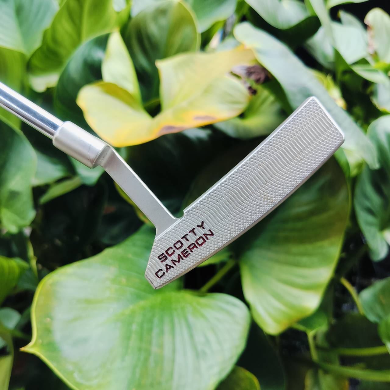 **ไม้กอล์ฟมือซ้าย**ลดราคาพิเศษ!!! TITLEIST SCOTTY CAMERON CALIFORNIA MONTEREY ความยาว 34 นิ้ว สภาพสวยเดิมทุกอย่างงามมาก มี COVER ไม้กอล์ฟพรีเมี่ยมมือสอง ของแท้ By NakaraLuxurious