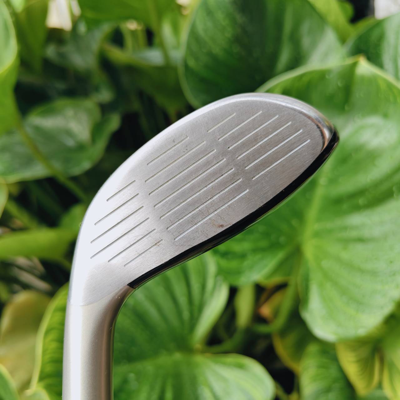 U2 Nike VR – 18° / TOUR AD FLEX SR ก้านดีพรีเมี่ยม ตีสนุกมาก!!!