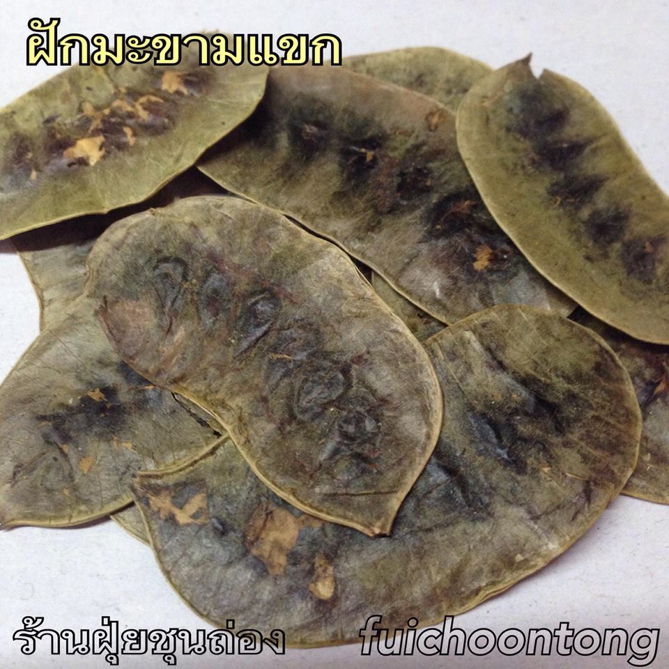 ฝักมะขามแขก