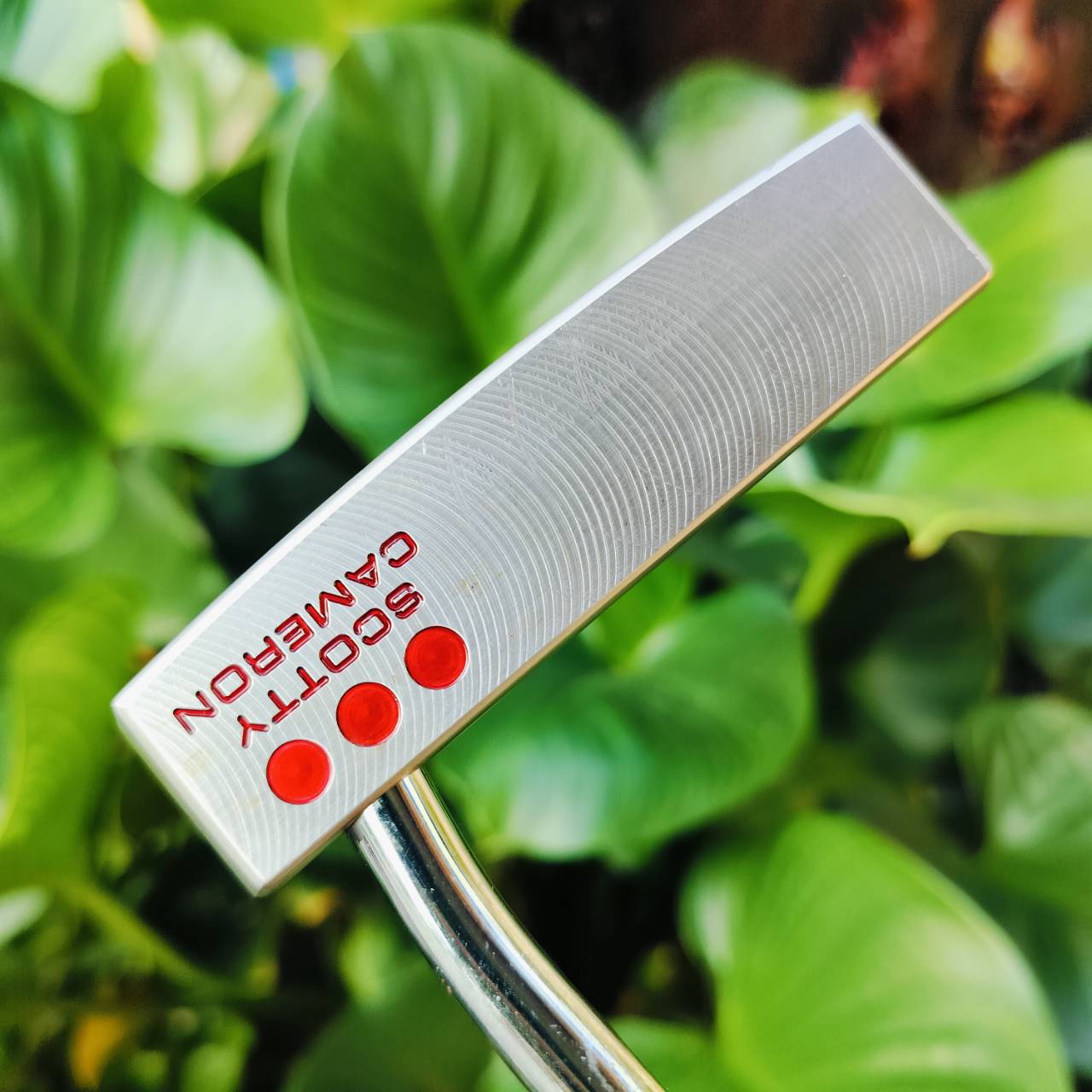 PUTTER SCOTTY CAMERON STUDIO SELECT KOMBI S ความยาว 35 นิ้ว มี COVER เดิมแท้ สุดยอดแห่งการชดเชยความผิดพลาด สุดยอดแห่งการวางน้ำหนักที่ดีที่สุด เส้นเล็งที่ตรงยางกลางพัตเตอร์ หน้าสัมผัสช่วยในการโรลของลูก ให้หมุนเกาะไลน์ที่สุด พัตต์ตรงมากๆ ไม้กอล์ฟพรีเมี่ยมมื
