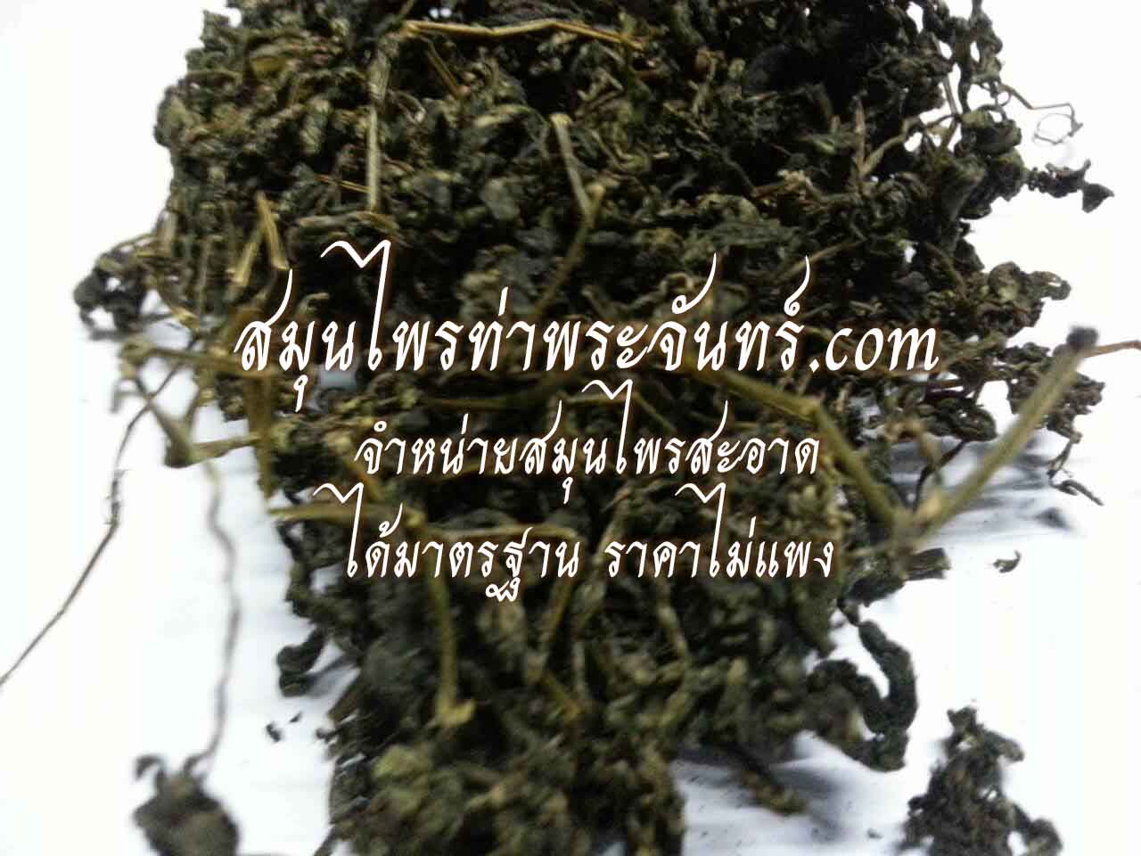 Dried Jiaogulan/ Gynostemma, Miracle grass / Southern ginseng / 5-Leaf ginseng / Penta tea