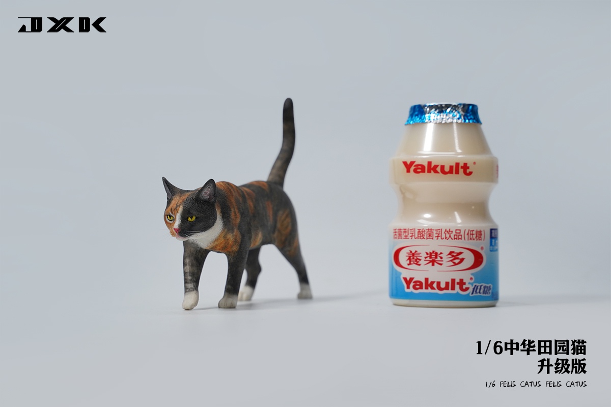 [สั่งจอง] JXK JXK176 1/6 : Felis Catus