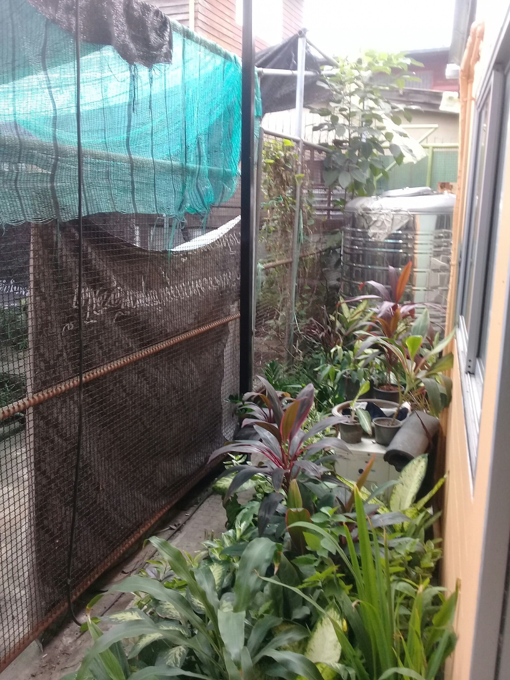 งานเรือนเพาะชำ กองทัพเรือ