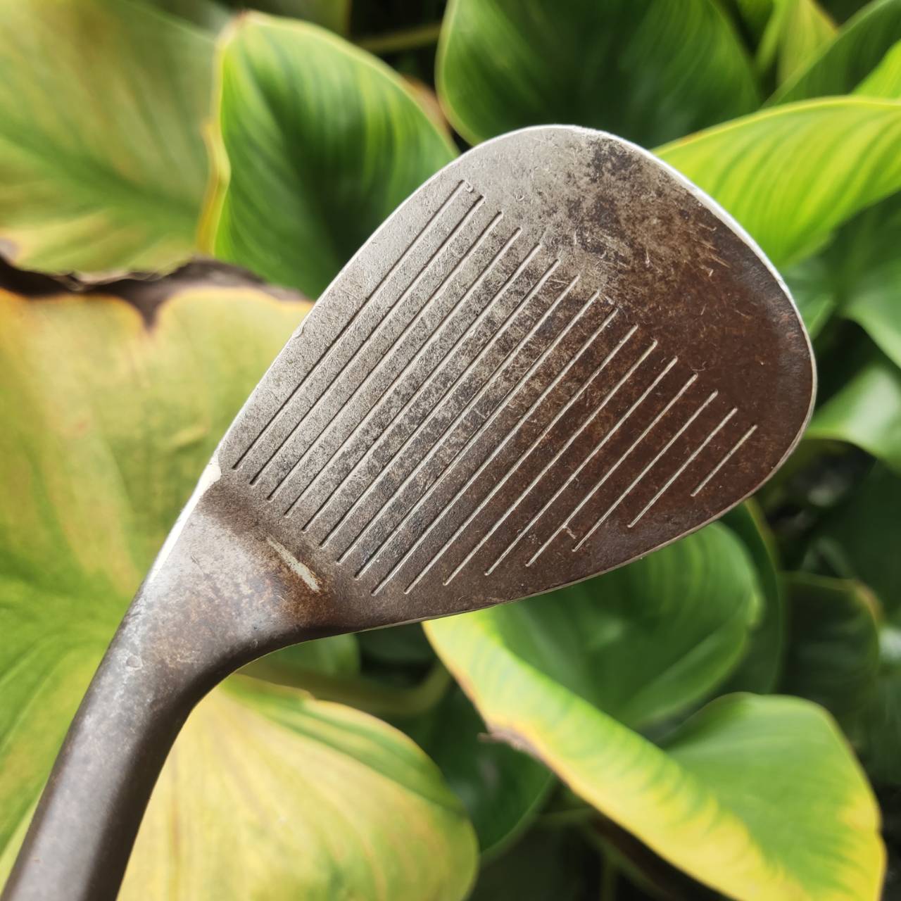 WEDGE VOKEY DESIGN 260-12 ระดับตำนาน! รุ่นสนิมแท้ RAW FINISH ที่นักกอล์ฟสายเทคนิคหลงรัก!