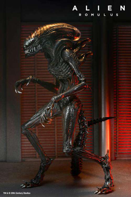 [สั่งจอง] Neca : Alien - Romulus