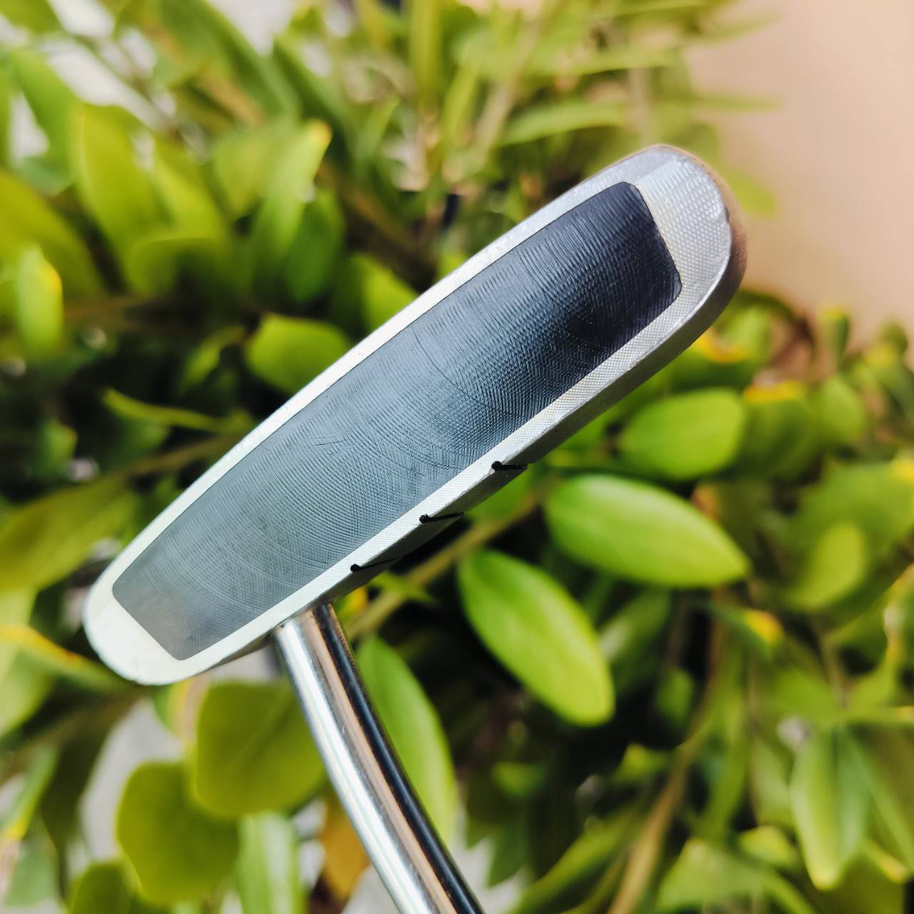 PUTTER ODYSSEY DUAL FORCE ROSSIE II ความยาว 34 นิ้ว สวยมาก รุ่นหน้าดำทั้งนุ่มและเกาะไลน์มาก รุ่นนี้ยอดนิยมมาก น้ำหนักดี พัตต์ตรง ชดเชยสูง ไม้กอล์ฟพรีเมี่ยมมือสอง ของแท้ By NakaraLuxurious