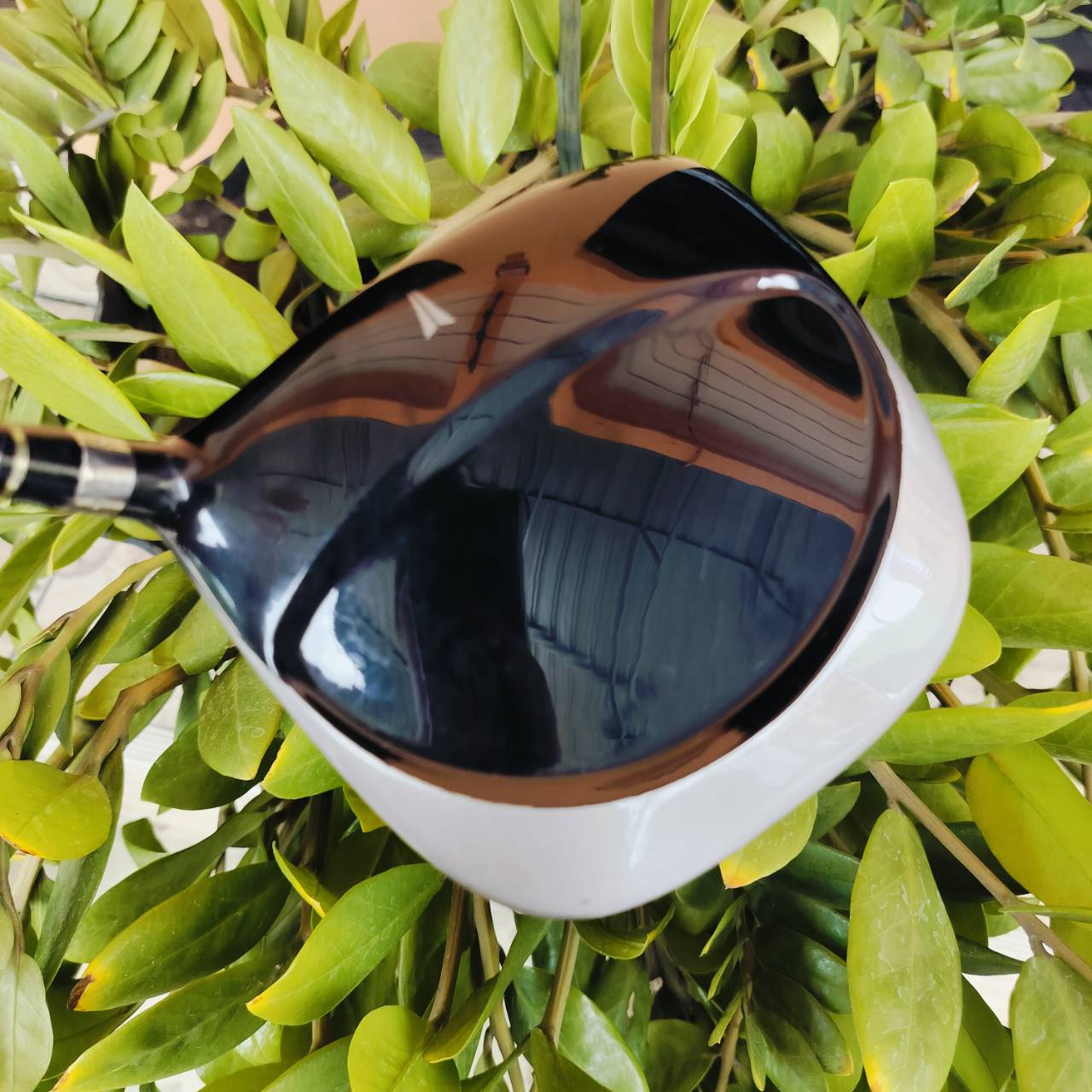 Driver NIKE SUMO SQ องศา 10 หัวสี่เหลี่ยม HIGH M.O.I. ชดเชยสูงมาก ตีได้ตรงอย่างเดียว ตีเลี้ยวไม่ได้ ตีไกลอย่างมาก ก้าน MITSUBISHI DIMANA FLEX R ไม้กอล์ฟพรีเมี่ยมมือสอง ของแท้ By NakaraLuxurious