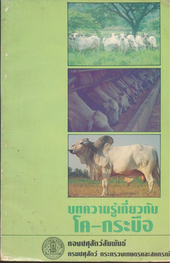 บทความรู้เกี่ยวกับ โค-กระบือ