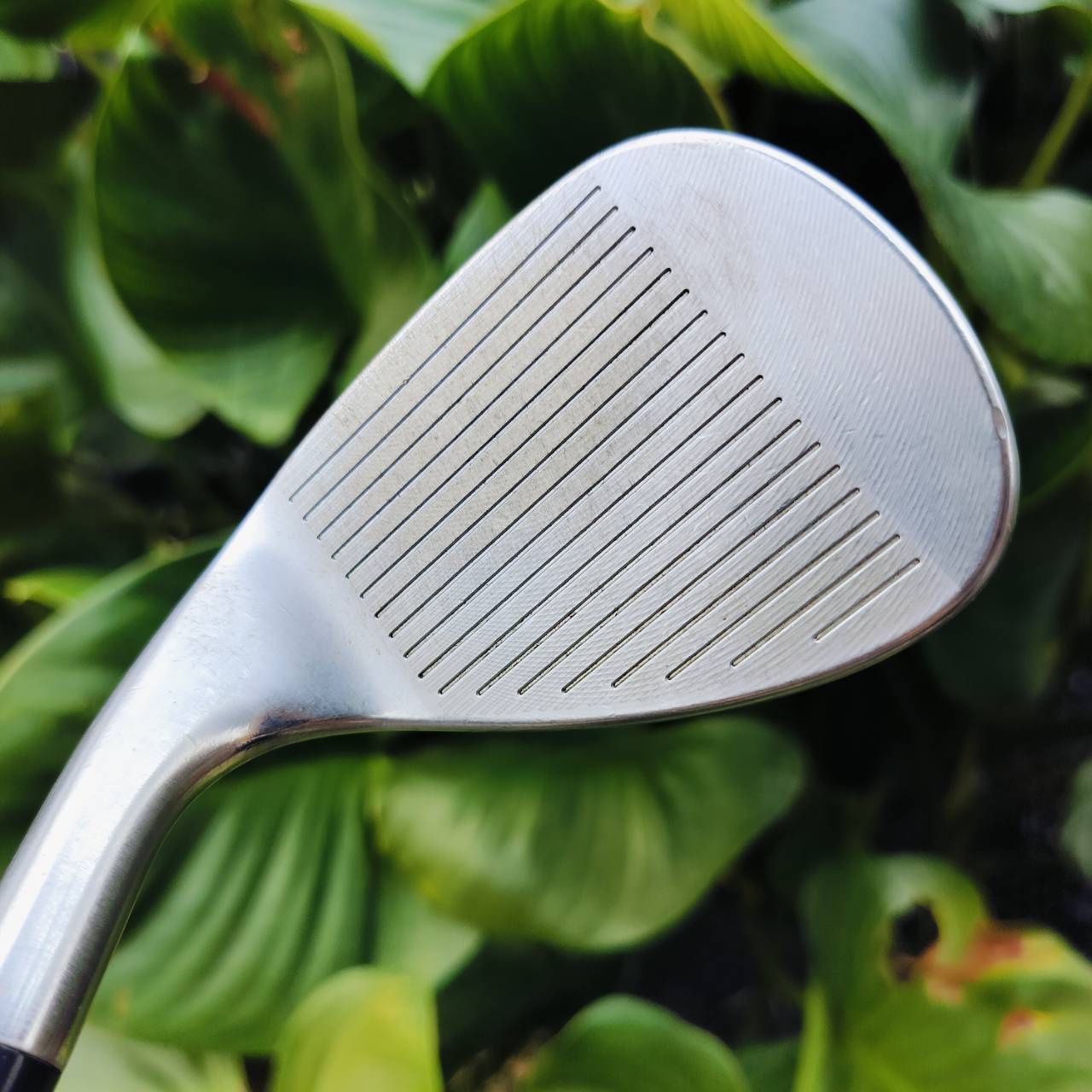 WEDGE CLEVELAND RTX3 V-MG องศา 50 BOUNCE 10 หน้าใบสวยมาก เป็นตัว CB TOUR SATIN ตัวที่ดีที่สุด ก้าน NS PRO 950 FLEX S หน้าตะไบ ไม้กอล์ฟพรีเมี่ยมมือสอง ของแท้ By NakaraLuxurious