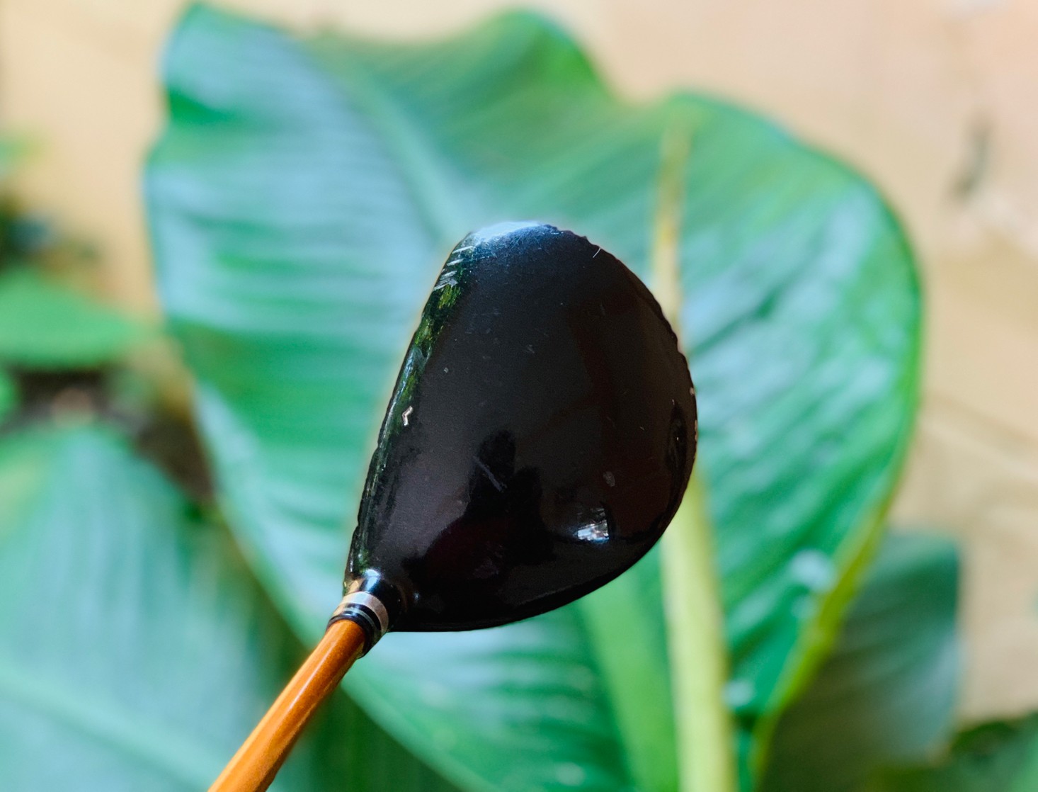 FAIRWAY 3 WILSON STAFF DF6 องศา15