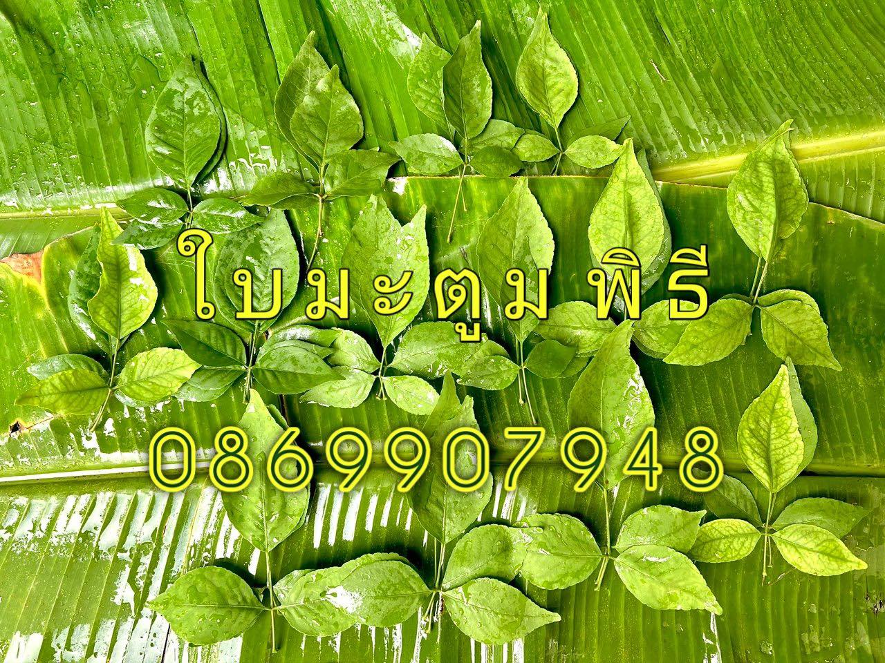 ใบไม้มงคล (พิธี)