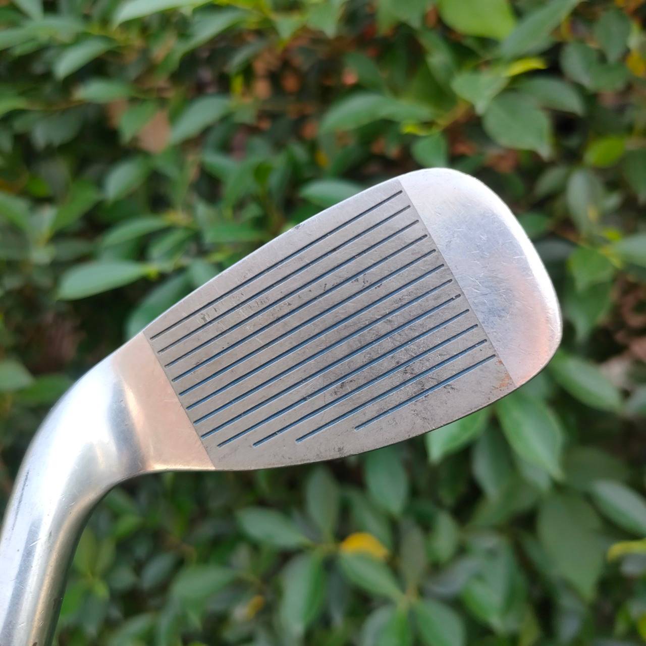 ** ไม้กอล์ฟสำหรับผู้หญิง ** ชุดเหล็ก LYNX TIGRESS ELEGANCE LADY มีเหล็ก 4-9 เเละ SW