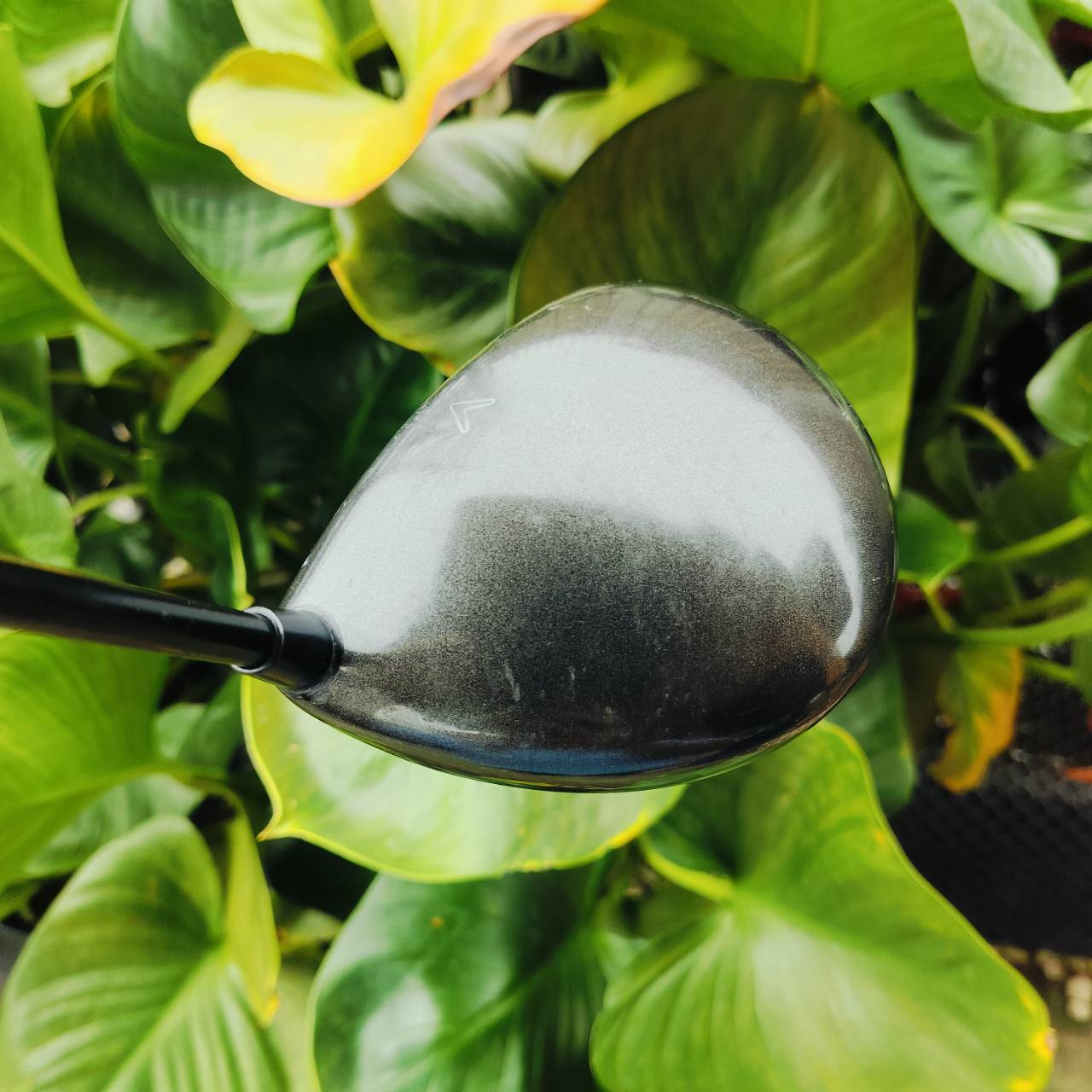 Driver Callaway BIGBERTHAR 454 วัสดุ BETA TITANIUM ตีง่าย เสียงหวานๆ ไม้กอล์ฟพรีเมี่ยมมือสอง ของแท้ By NakaraLuxurious