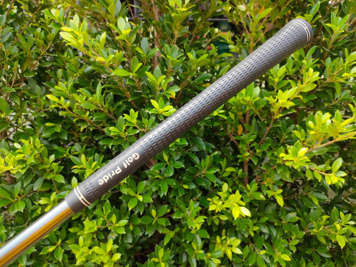 Driver หน้าเด้งโหดมาก SOLID CONTACTS กระดองเคฟล่า