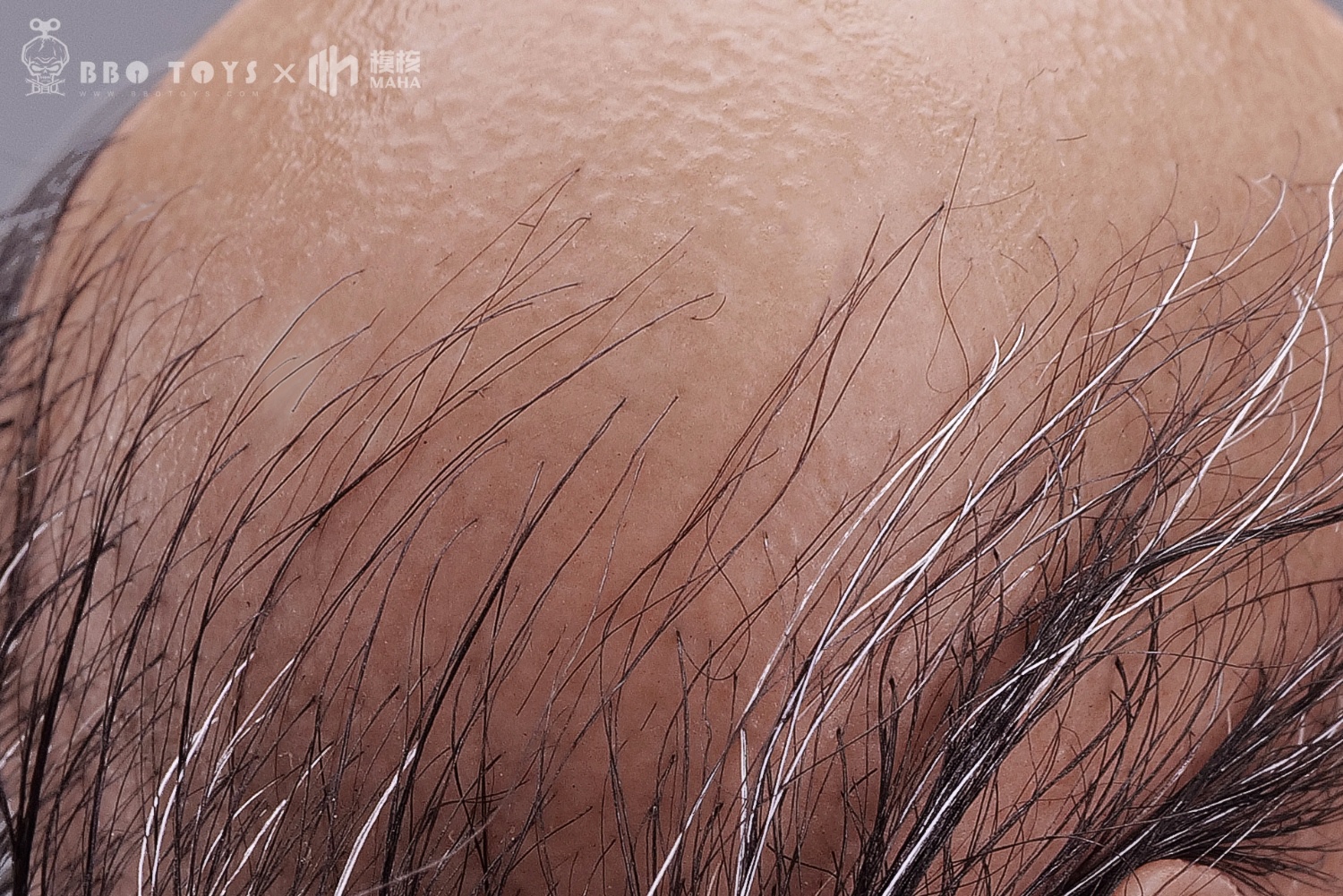 [สั่งจอง]BBOTOYS HA2301 1/6 : Ultimate Killer (Limited)